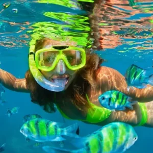 Snorkel Tour