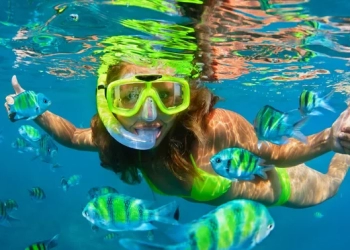 Snorkel Tour